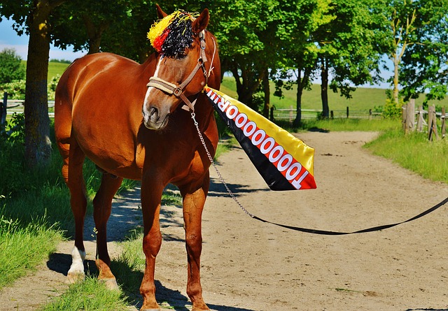 军继续奋斗 军继续奋斗