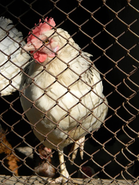 新任领导层 新任领导层